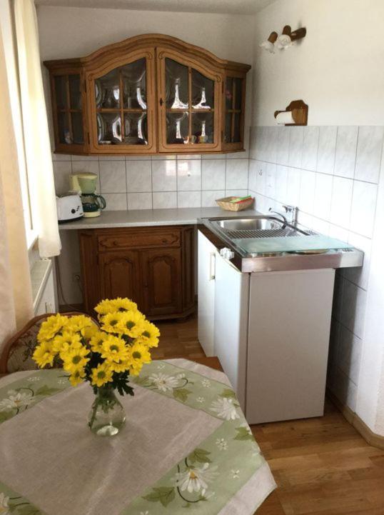 Pension Elblinge Apartment Prossen Exterior foto