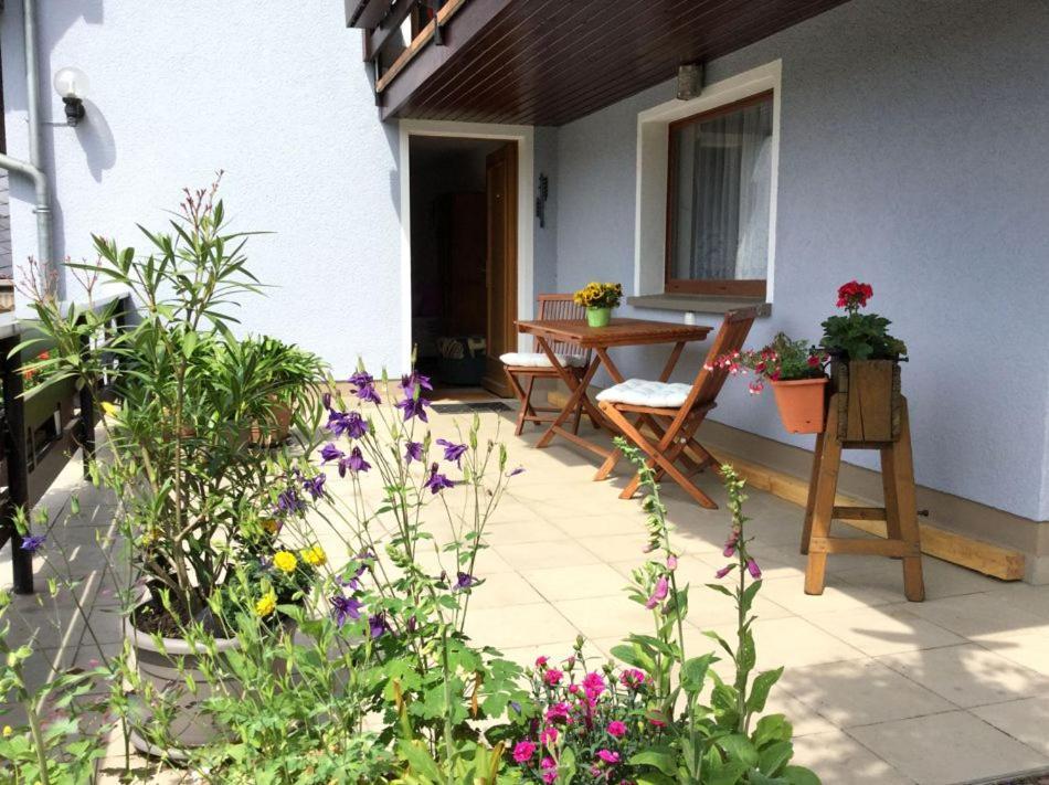 Pension Elblinge Apartment Prossen Exterior foto